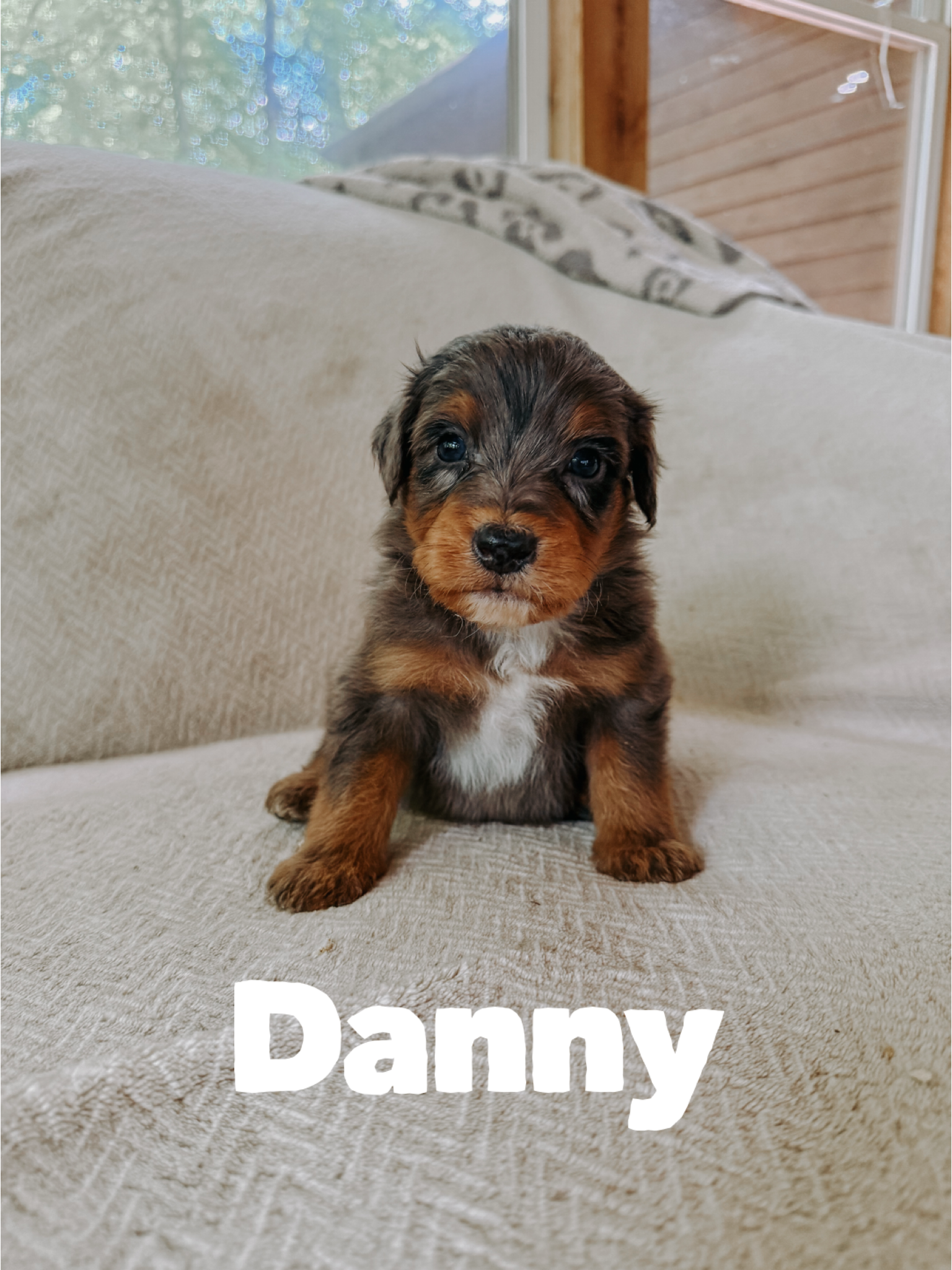 Danny 1